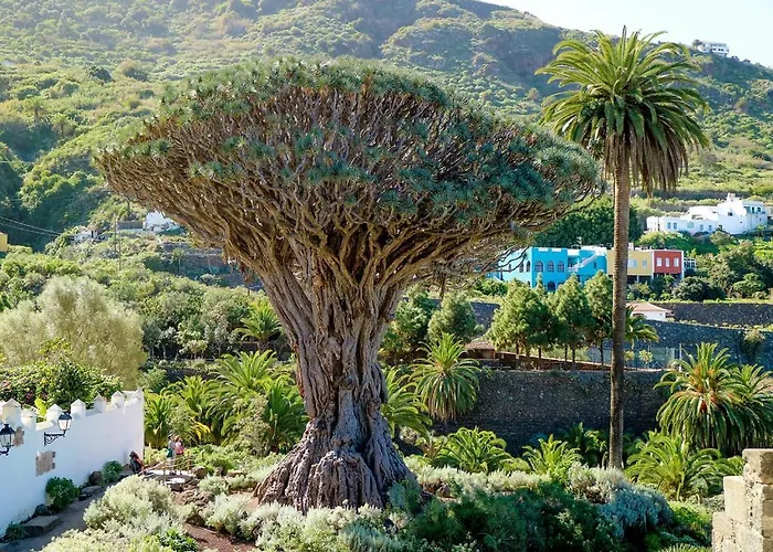 San Agustin 45 - Adults Only Icod De Los Vinos