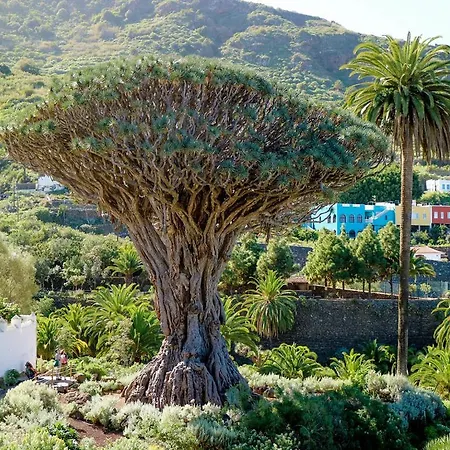 San Agustin 45 - Adults Only Icod De Los Vinos